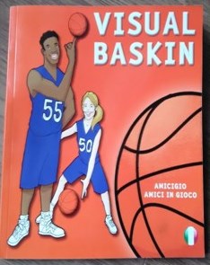 visual-baskin